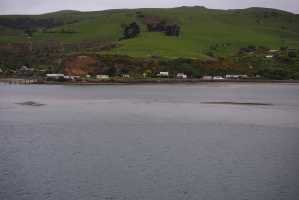 HARINGTON-POINT-DUNEDIN (8)